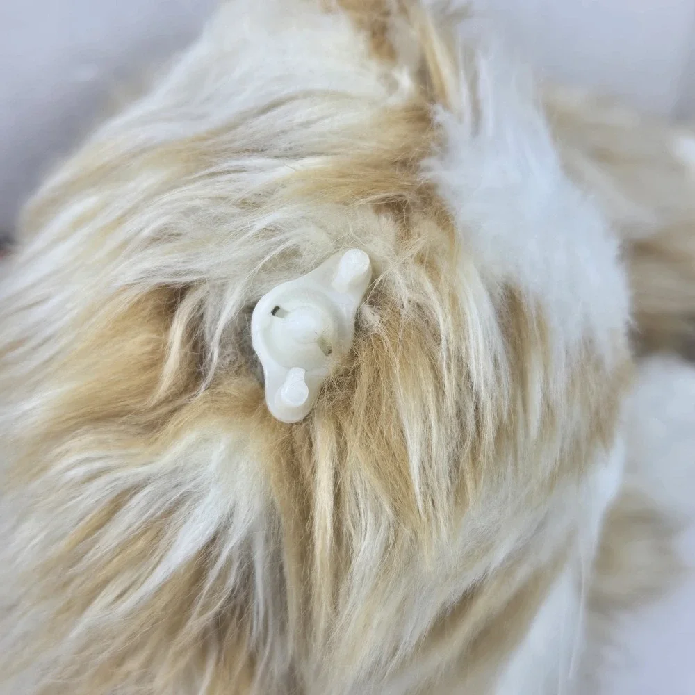Joy For All Hasbro Orange Tabby Cat Interactive Pet MISSING AN EAR WORKS VIDEO!